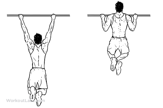 The dead-hang pull-up builds raw strength