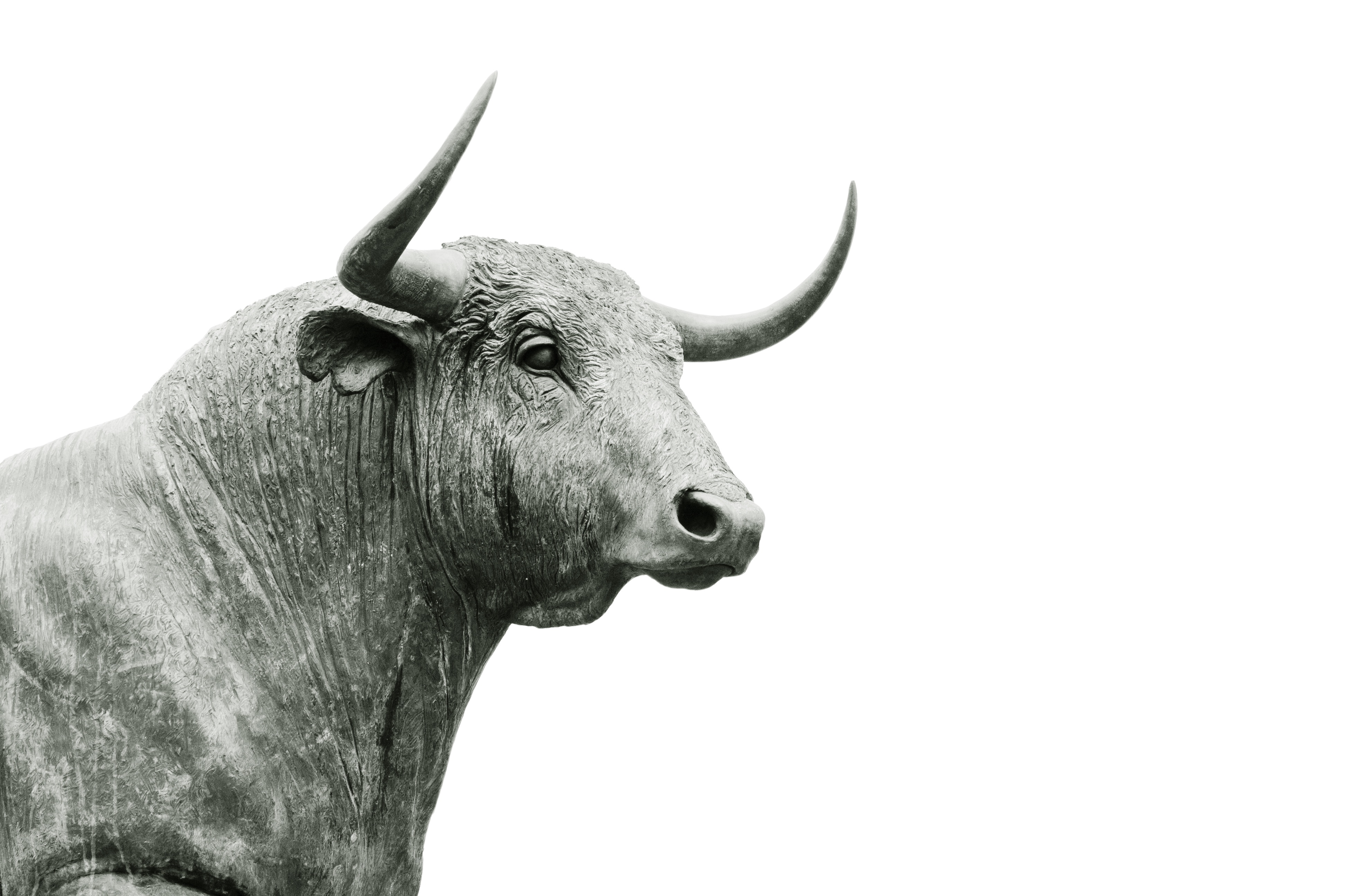 Feeling bullish about the stock market?